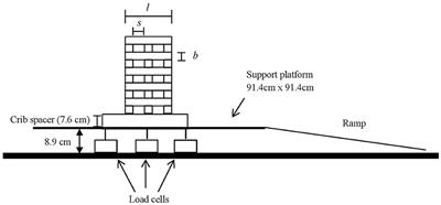 The Role of Fuel Bed Geometry and Wind on the Burning Rate of Porous Fuels